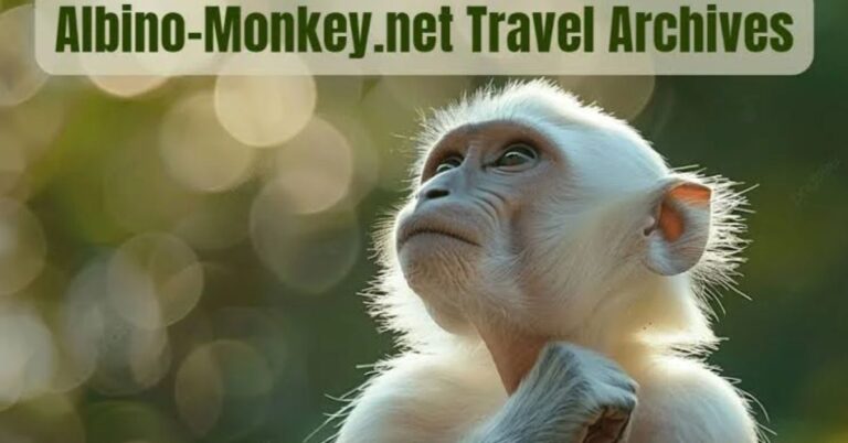 albino-monkey.net travel archives